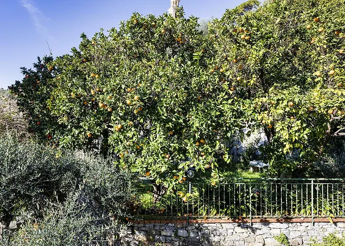 Seaview With Garden In By Wonderful Italy